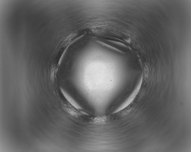 X0000056380574200509232228