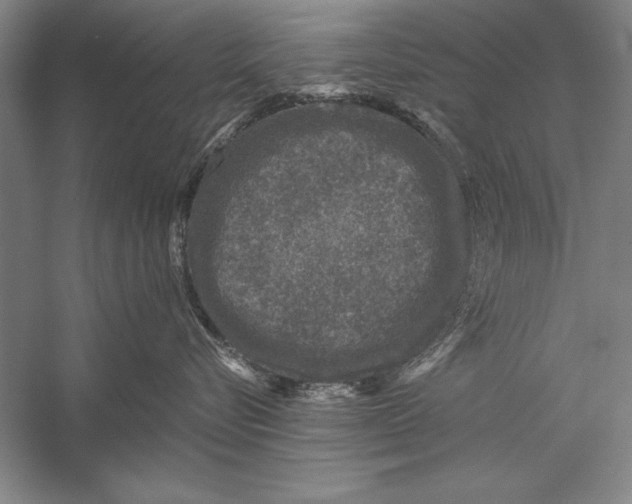 X0000056380576200509232228