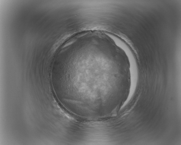 X0000056380577200509232227