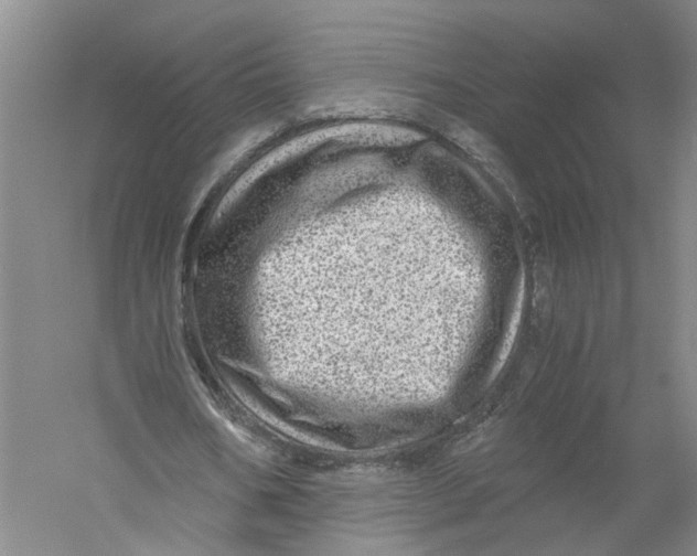 X0000056380578200509232227