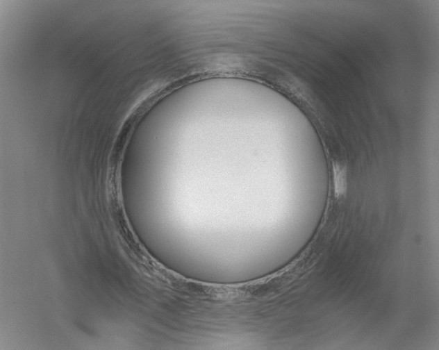 X0000056380579200509232227