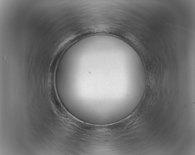 X0000056380583200509232227