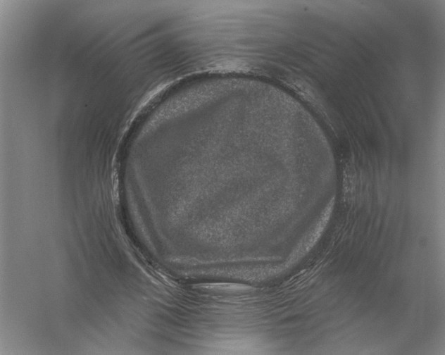 X0000056380584200509232227