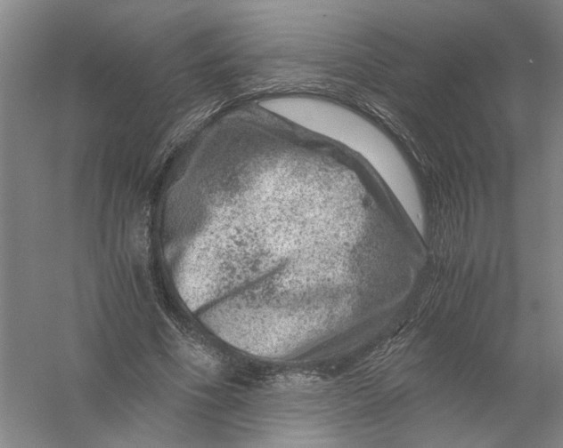 X0000056380586200509232227