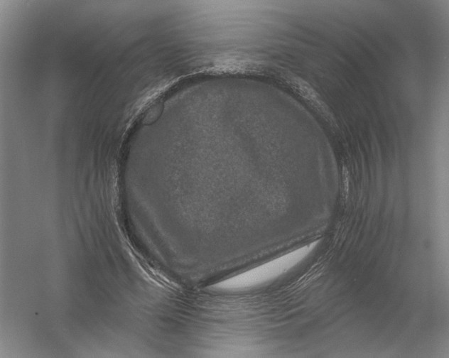 X0000056380588200509232227