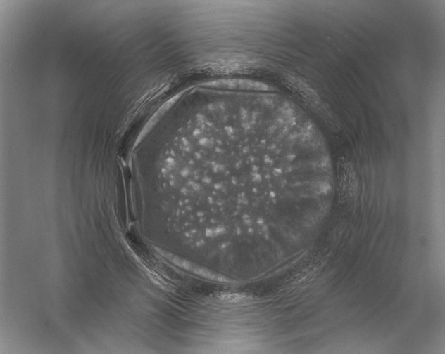 X0000056380590200509232227