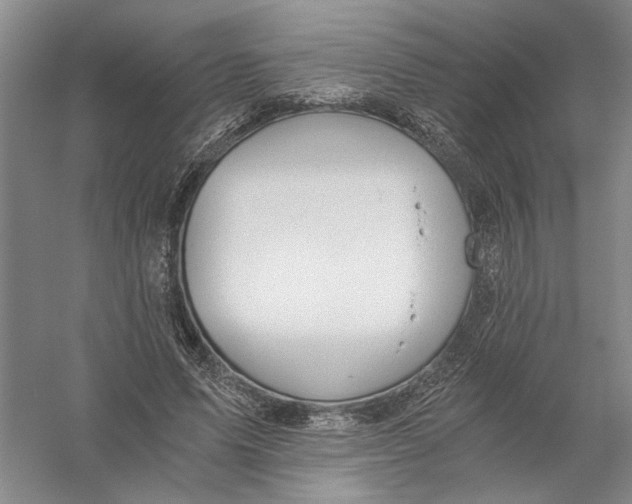 X0000056380591200509232227