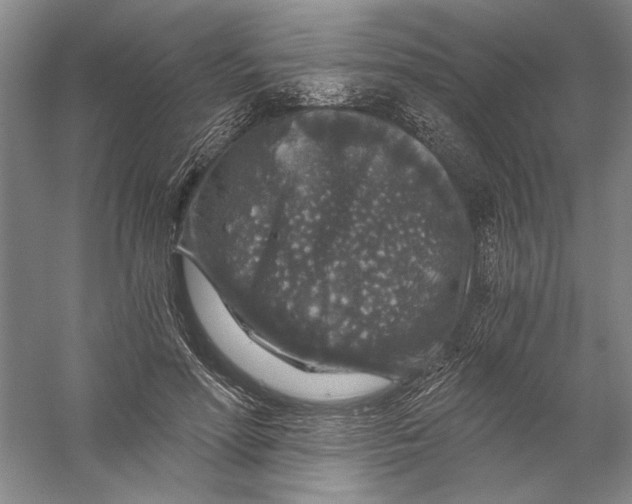 X0000056380598200509232227