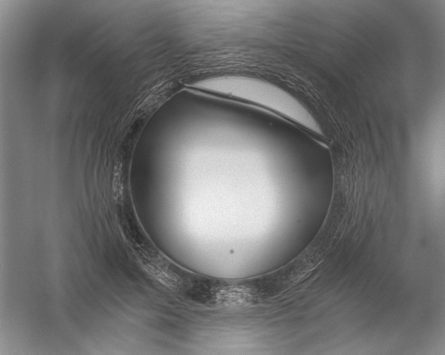 X0000056380599200509232226