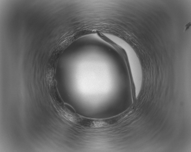 X0000056380605200509232226