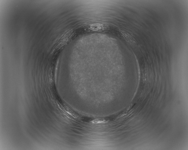 X0000056380606200509232226