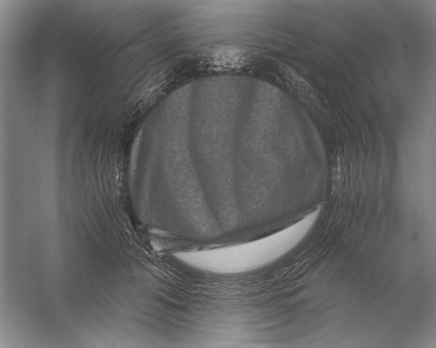 X0000056380608200509232226