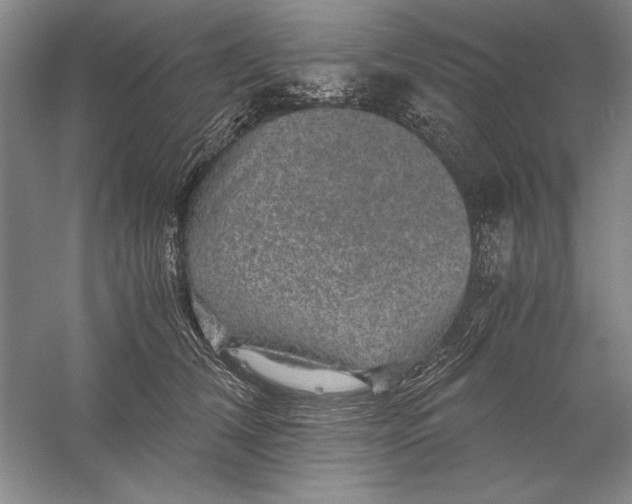 X0000056380612200509232226