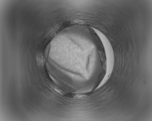 X0000056380617200509232226