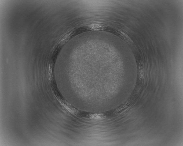 X0000056380618200509232226