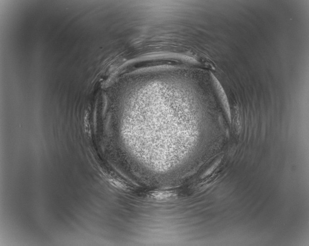 X0000056380619200509232226