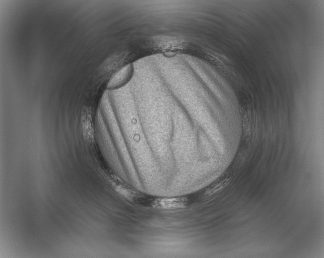 X0000056380622200509232226