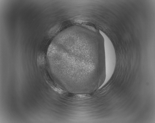 X0000056380623200509232226