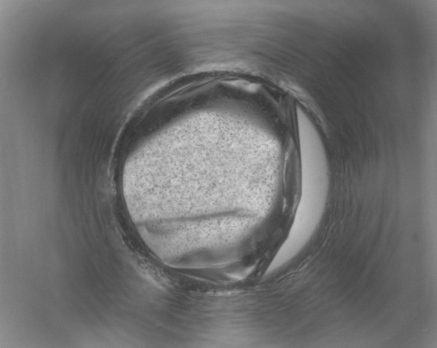 X0000056380628200509232225