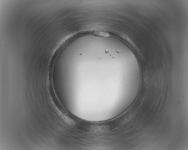 X0000056380629200509232225