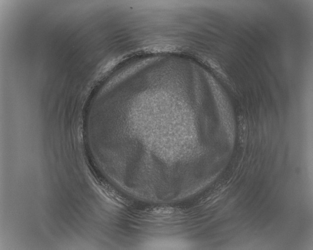 X0000056380631200509232225