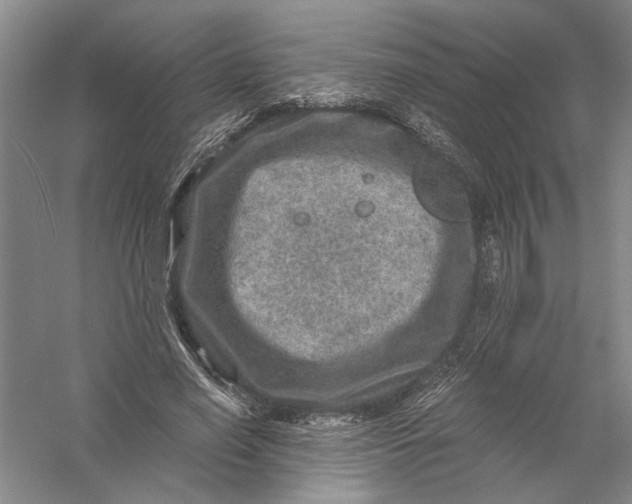 X0000056380638200509232225