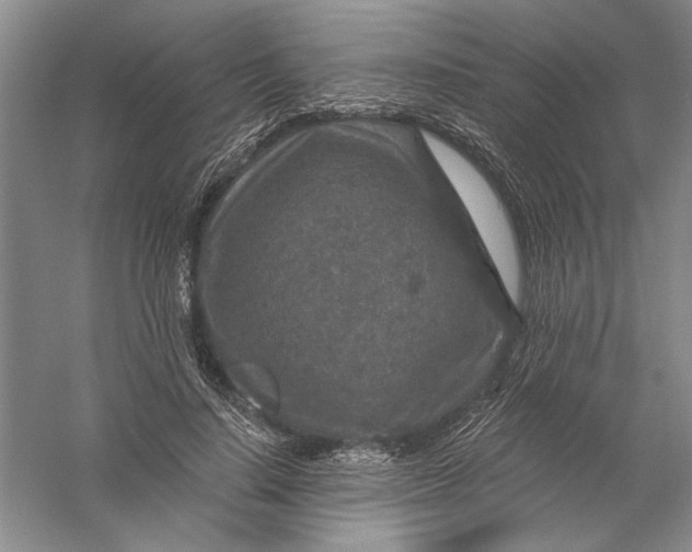 X0000056380644200509232226