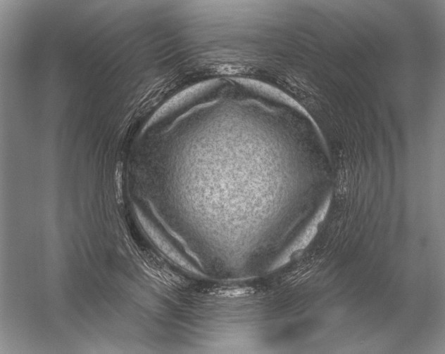 X0000056380646200509232226