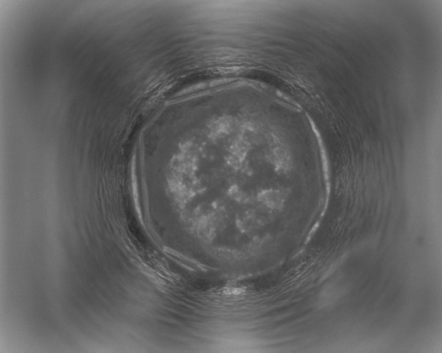 X0000056380647200509232226