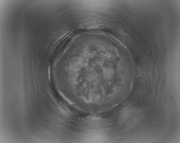 X0000056380648200509232226