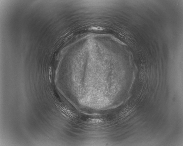 X0000056380649200509232226