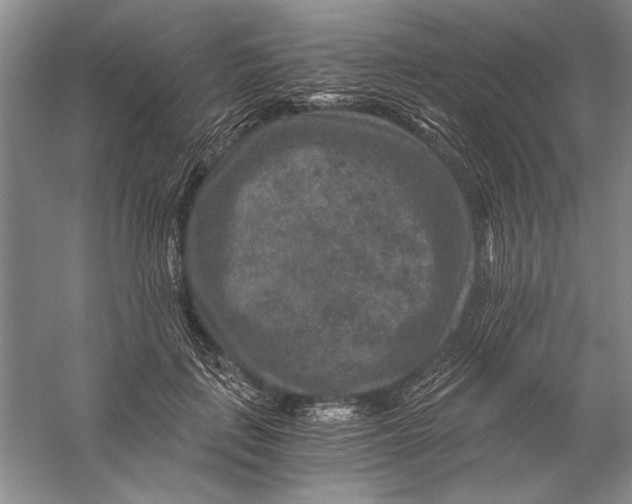 X0000056380651200509232226