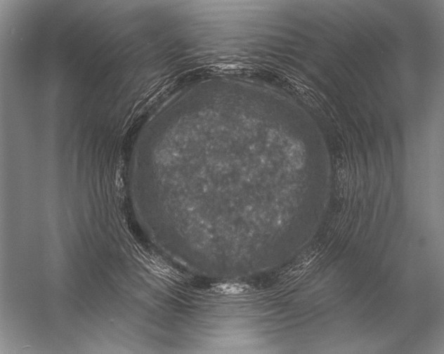 X0000056380654200509232226