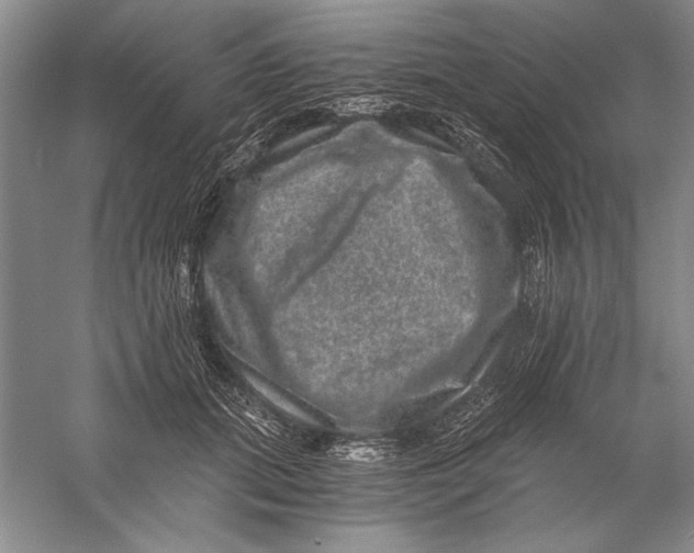 X0000056380655200509232226