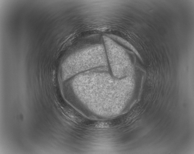 X0000056380656200509232226