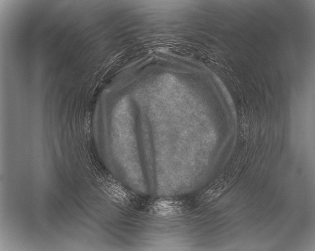 X0000056380657200509232226