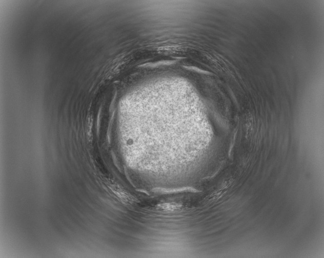 X0000056380660200509232226