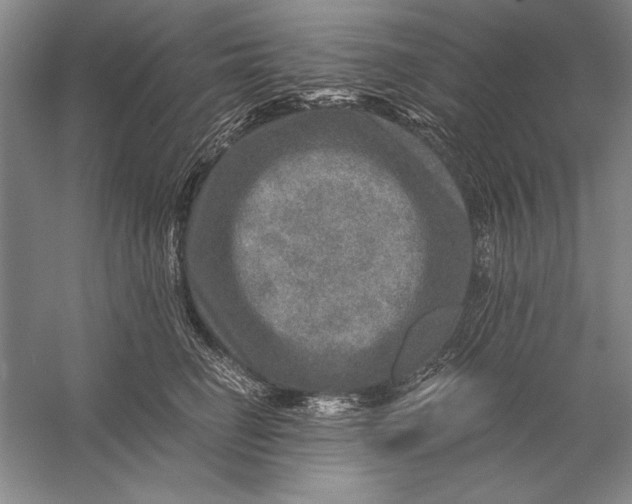 X0000056380662200509232226