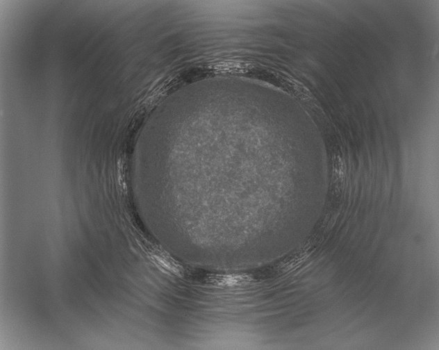 X0000056380663200509232226