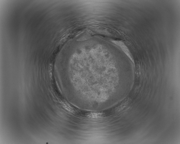 X0000056380664200509232226