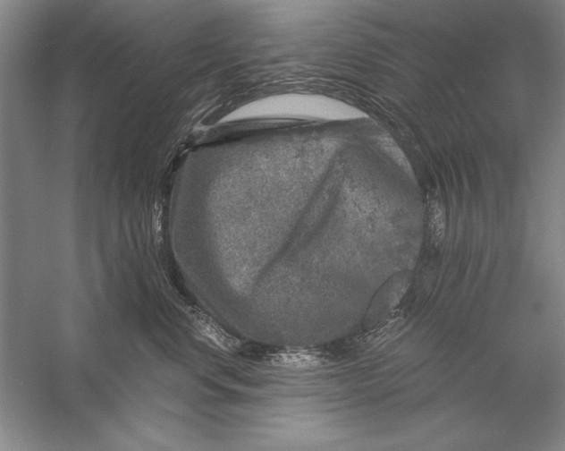 X0000056380668200509232226