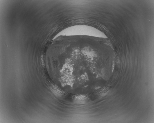 X0000056380669200509232226