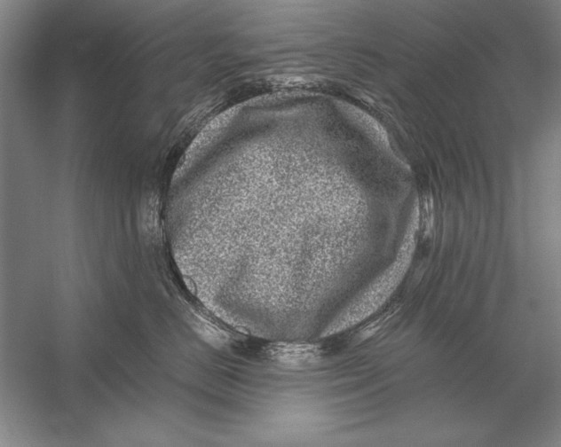 X0000056380670200509232226