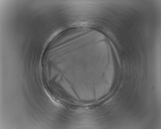 X0000056380674200509232225