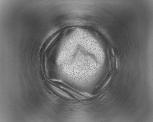 X0000056380675200509232225