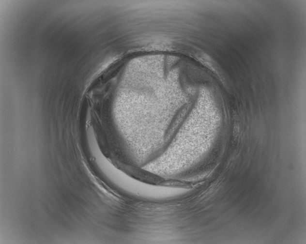 X0000056380677200509232225