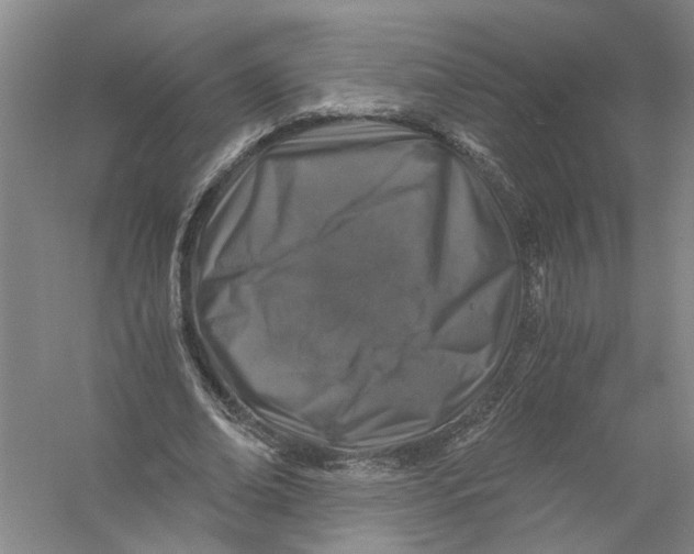 X0000056380678200509232225