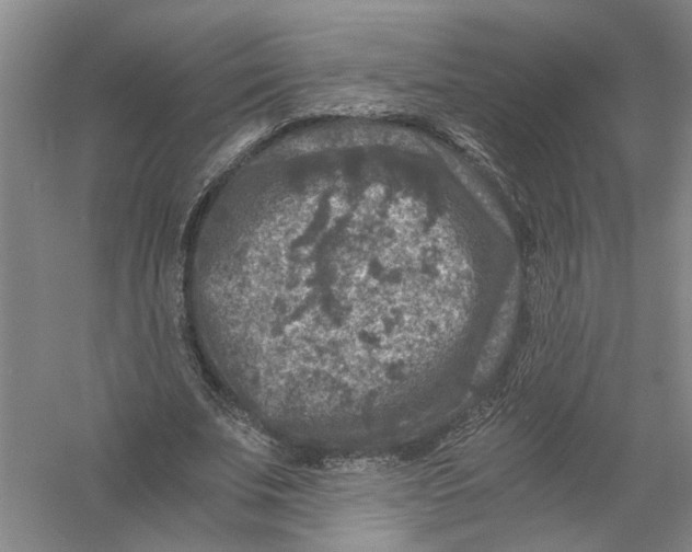 X0000056380679200509232225