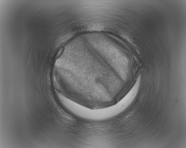 X0000056380681200509232225