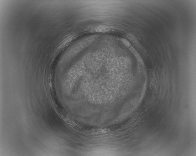 X0000056380683200509232225